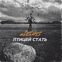 mk5 45 - Птицей стать