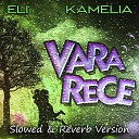 Eli Kamelia STUDIO 66 - Vara Rece