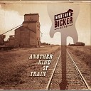 Brother Bicker Band - The Breakup Song