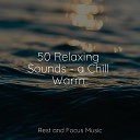 Baby Relax Music Collection Entspannungsmusik Medita o… - Fresh Forest Air