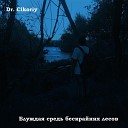 Dr Cikoriy - Гроза в ночном лесу