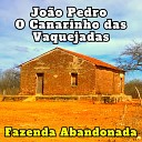 Jo o Pedro O Canarinho das Vaquejadas - Amor de Mulher de Gado Cover