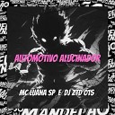 DJ ZTD 015 MC Luana SP - Automotivo Alucinador