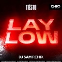 Tiësto - Lay Low (DJ Sam Radio Edit)
