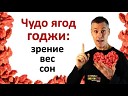 ГОДЖИ - новые исследования старинных ягод Как втрое увеличить…