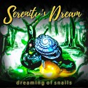Serenity s Dream - Drifting Seasons