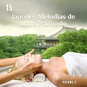 Massagem M sica - Flauta japonesa para Spa em Casa