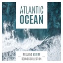 Ocean Waves Specialists Spa Music Club - Enjoy the Silence