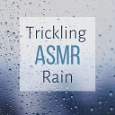 ASMR Trigger Ora - Rain Ambience