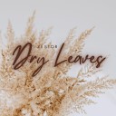 Zestor - Dry Leaves Radio Edit