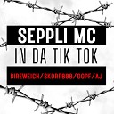Seppli mc feat Bireweich Skorp808 Gopf Aj - In da tik tok