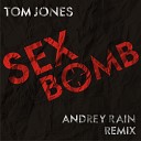 Tom Jones - Sexbomb Andrey Rain Remix