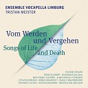 Ensemble Vocapella Limburg Tristan Meister - Grab und Mond