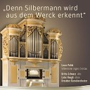 Dresdner Barockorchester Lucas Pohle Britta… - Arie Geist und Seele wird verwirret