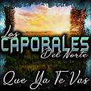 Los Caporales Del Norte - De Regreso a Sinaloa