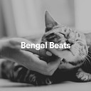 Music for Cats Peace - My Kitty s Way to Sleep