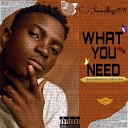 Soundboy mfk - What You Need