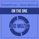 FederFunk Sean Biddle - On the One Original Mix