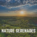 Nature Sound Series - Homeostasis