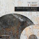 The Quest - C Sharp Daniel Wanrooy Extended Remix