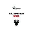 Crotaphytus - Tracheloptychus Manasyt Remix