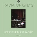 Radiator Greys - Concrete Age