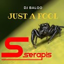 Dj Baloo - Just a Fool Vocal Mix