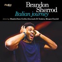 Brandon Sherrod feat Massimiliano Coclite Emanuele Di Teodoro Morgan… - What a Wonderful World