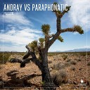 Andray Paraphonatic - Passion Extended Mix