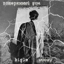 bigle voozy - Потерянный дом