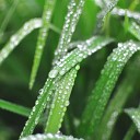 Healing Meditation Zone Rain Shower Spa ASMR Rain… - In Dreams