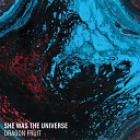 She Was The Universe - L U C A