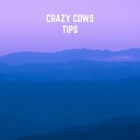 Crazy Cows - Tips