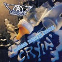 Aerosmith - Cryin KaktuZ Remix