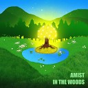 Amist - In the Woods