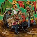 Brown Tigger feat Huckleberry P - Marley feat Huckleberry P