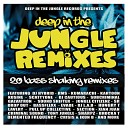 Criminal Sound - The Jungle Drop Out Remix