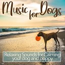 Relax My Dog Music Dog Music Therapy Dog Music… - Sea Breeze