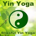 Yin Yoga - Gratitude Heart