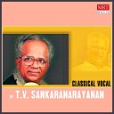 T V Sankaranarayanan - Aadum Chidambaramo