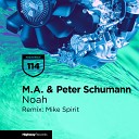 M A Peter Schumann - Ark