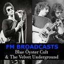 The Velvet Underground - Beginning To See The Light Live