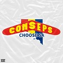 Conseps - Choose S.A