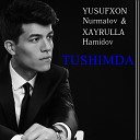 Yusufxon Nurmatov feat Xayrulla Hamidov - Tushimda