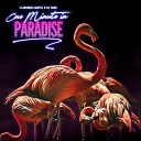 Flamingo Cartel DJ Taro - One Minute in Paradise