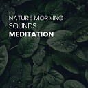 Nature Ambience - Morning Nature Sounds Pt 17