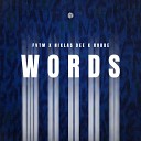 FVTM Niklas Dee Robbe - Words