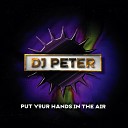DJ Peter Project - Put Your Hands in the Air Radio Edit