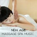 Massage Spa Academy Wellness Spa Music Oasis - Crystal Spa