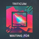 TRITICUM - Waiting For Deep Mix